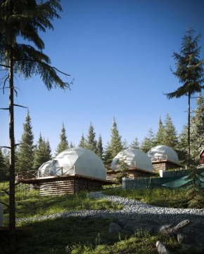 GM Eco Bubble